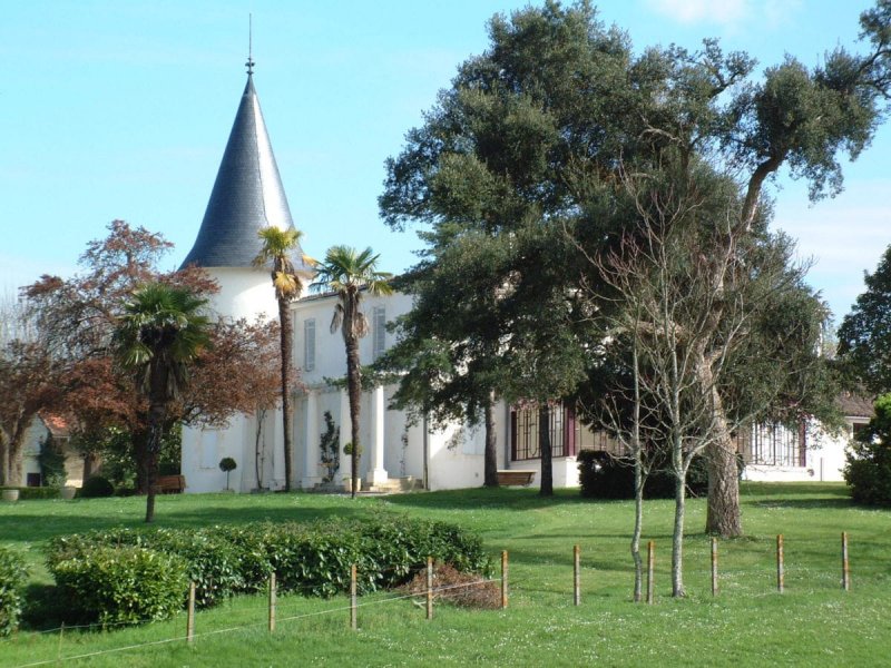 vue-du-chateau-de-seguin-800-min Château de Seguin